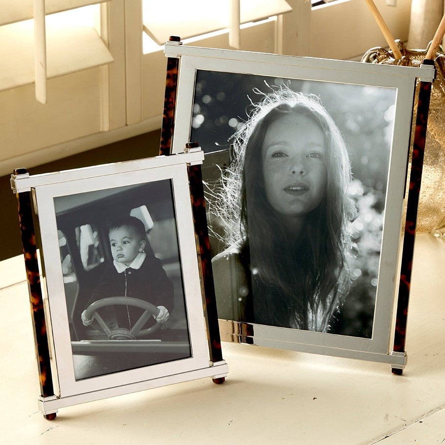 Tortoise Shell & Silver Pillar Frame