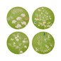 Chinoiserie Coasters Green - Set of 4